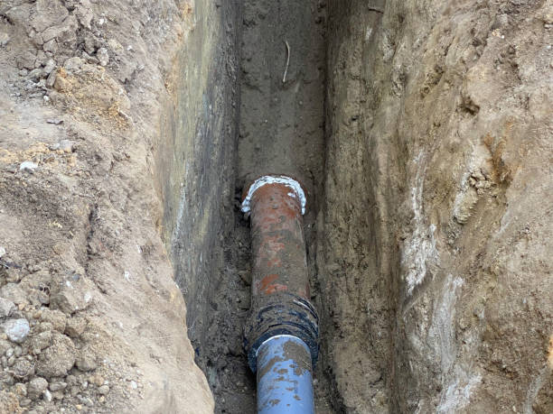 Best Basement water damage restoration  in San Felipe Pueblo, NM
