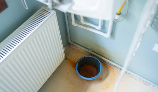 Best Water damage restoration near me  in San Felipe Pueblo, NM