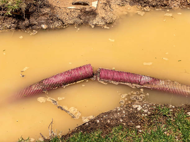 Water damage restoration experts in San Felipe Pueblo, NM